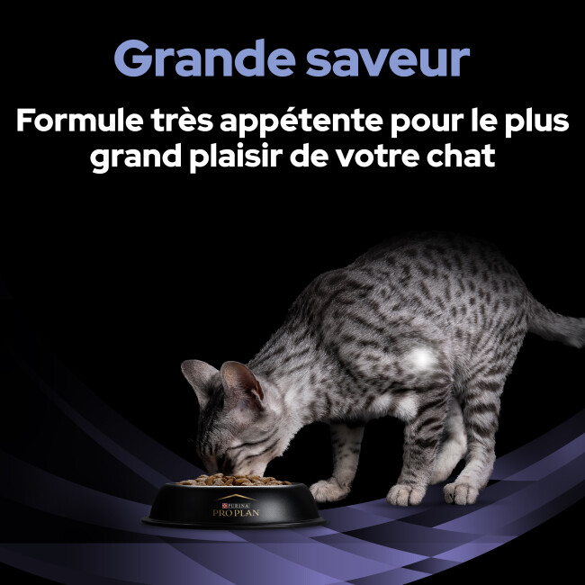 Fortiflora Chat Purina Veterinary Diet