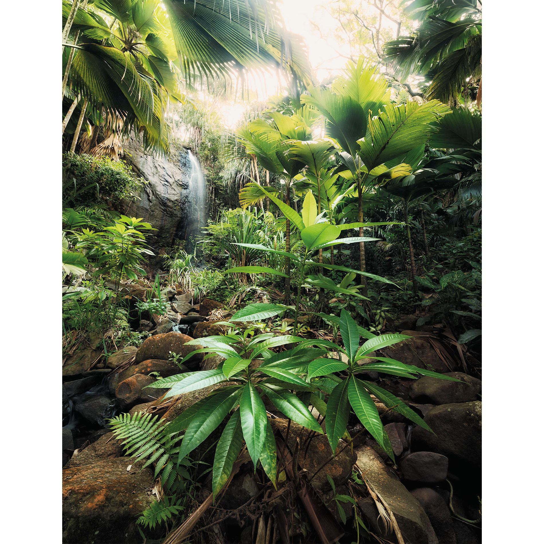 Vlies-Fototapete SPIRIT - grün-gelb-braun - 200x260 cm