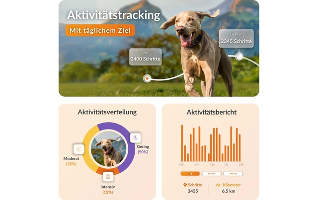 GPS-Hundetracker »Weenect für Hunde XT ohne Halsband«