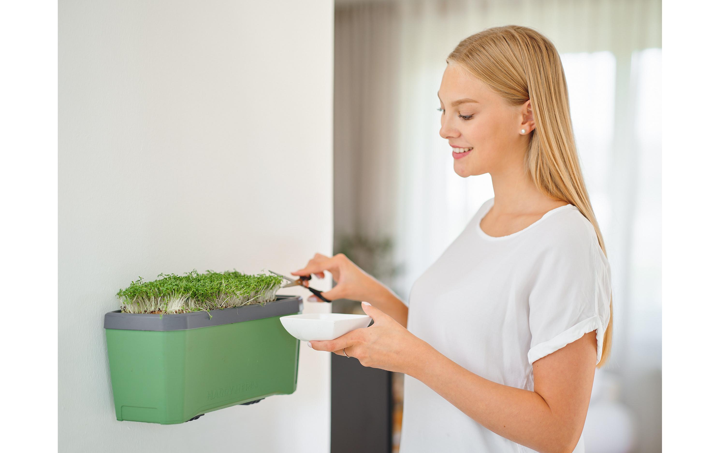 Kräutertopf HARRY HERBS mit Haube, DunkelgrünPflanzentopf