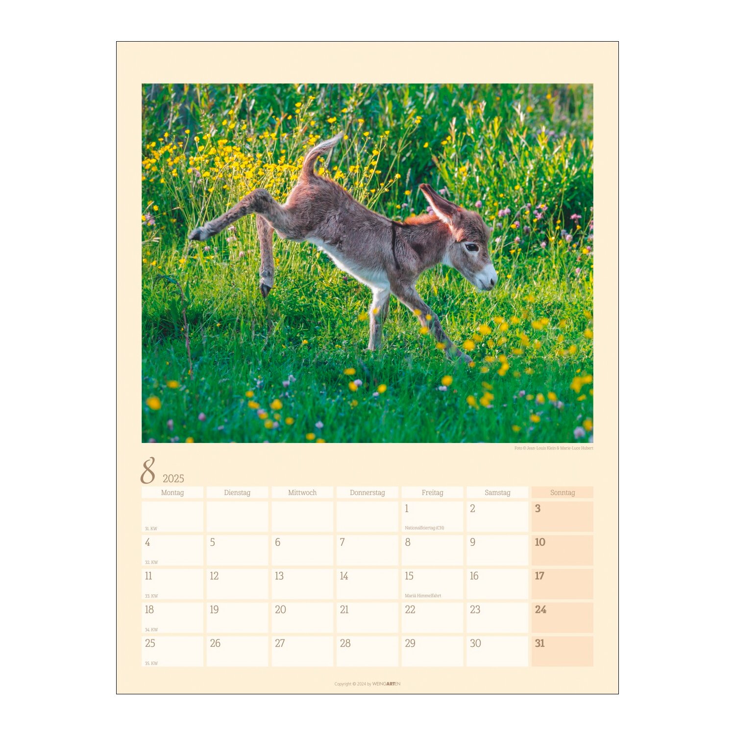 Kalender Esel 2025