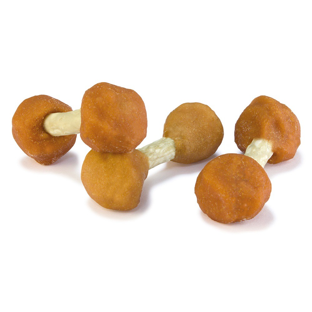 Petiscos naturais Arquivet para cães, sabor frango.