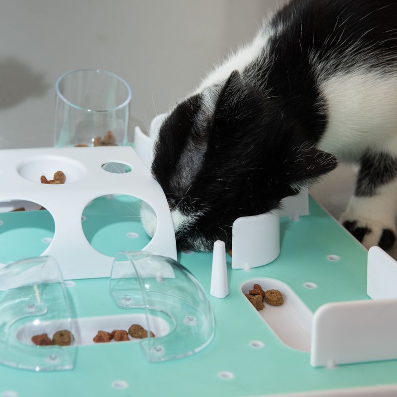 Jouet Slo-Mo pour chat
