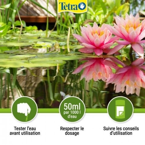 Tetra Pond AlgoRem Removedor de Algas para Lagoas de Jardim
