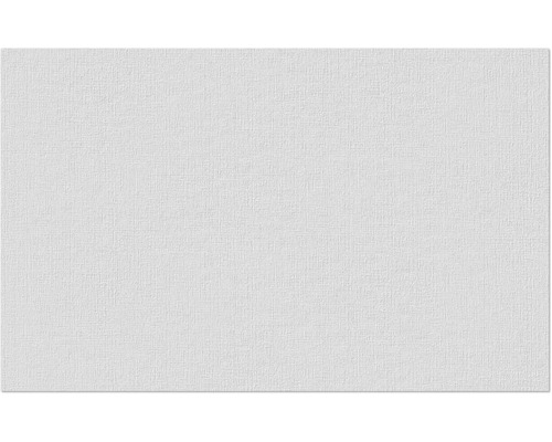 Erfurt vliesvezel 1004303 Basic 101 10.05x0.53 m