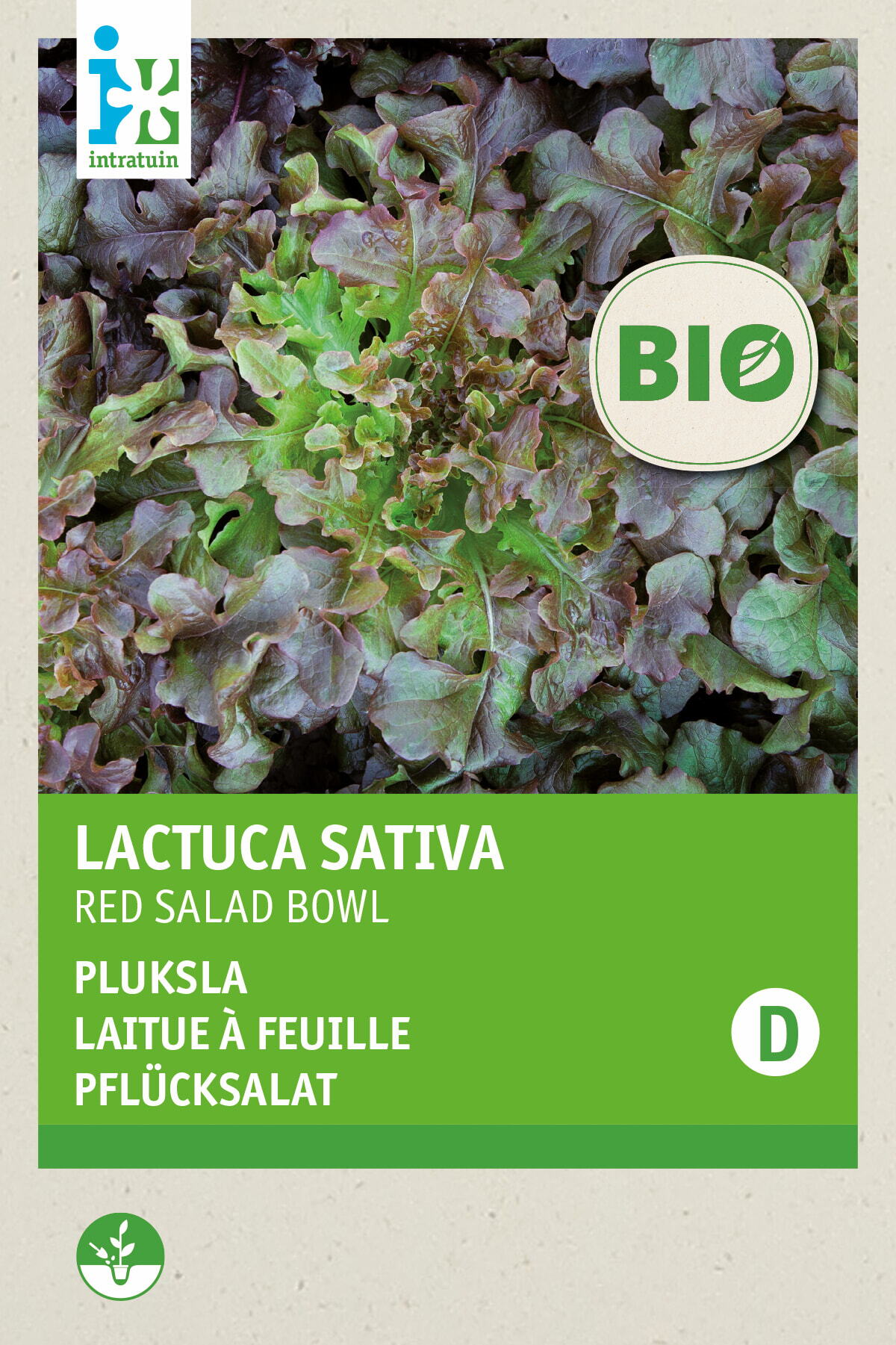 Biologische Intratuin groentezaad Pluksla (Lactuca sativa 'Red Salad Bowl')