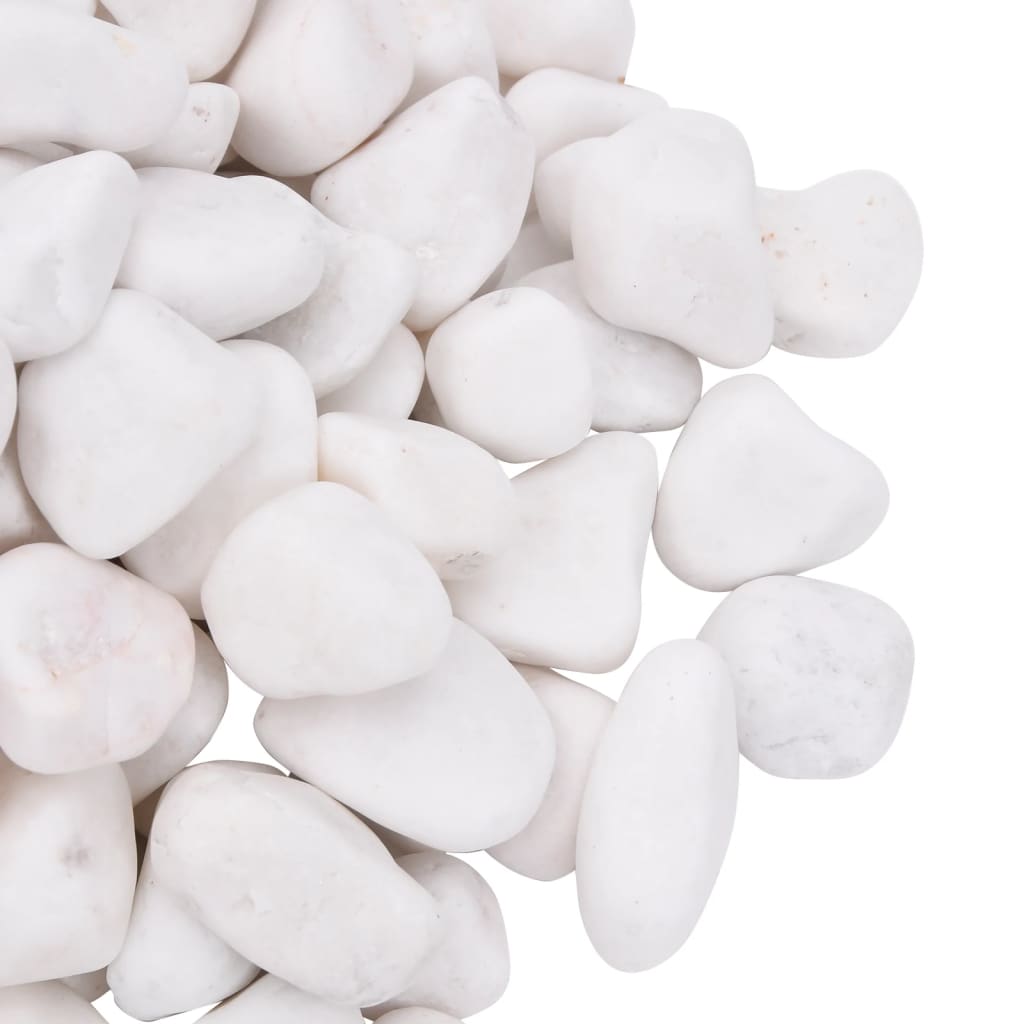 vidaXL Pedras Brancas Polidas 10 kg 2-5 cm