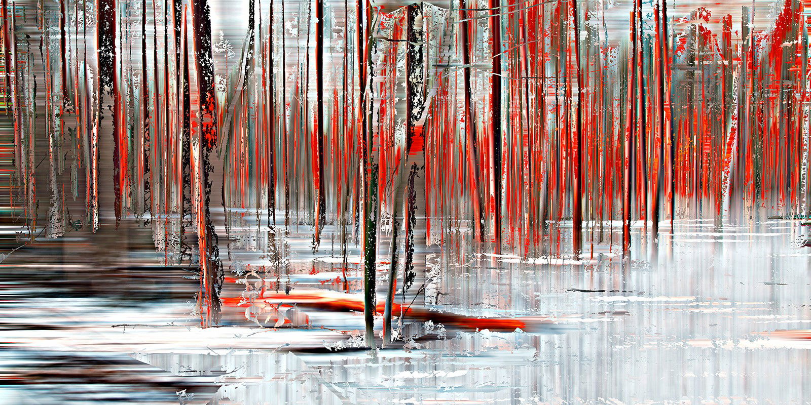 wood_9808 by Sabine Wild - Limited Edition. Edition of: 150. Signed.