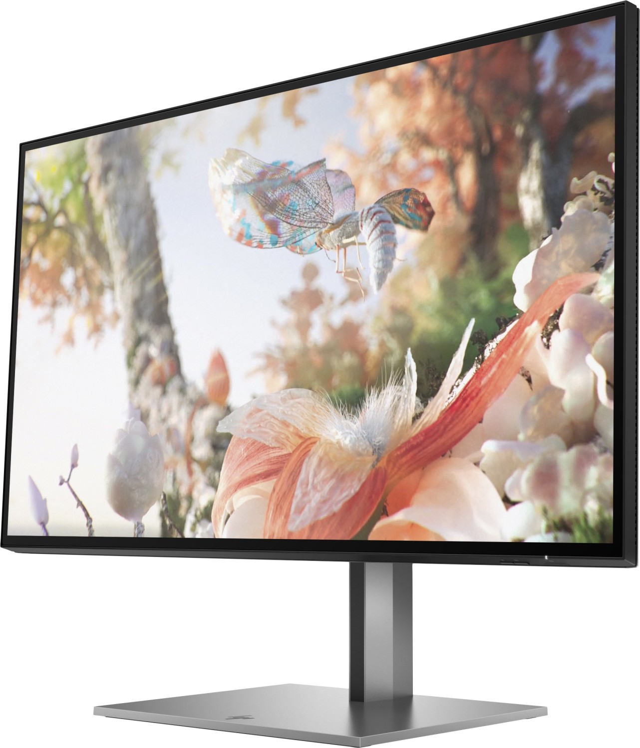 HP Z25xs G3 | 25