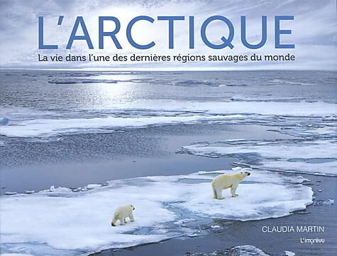 L ARCTIQUE