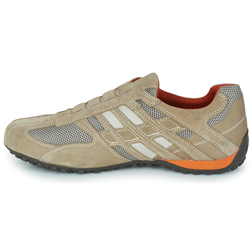 Geox - SNAKE L - Beige