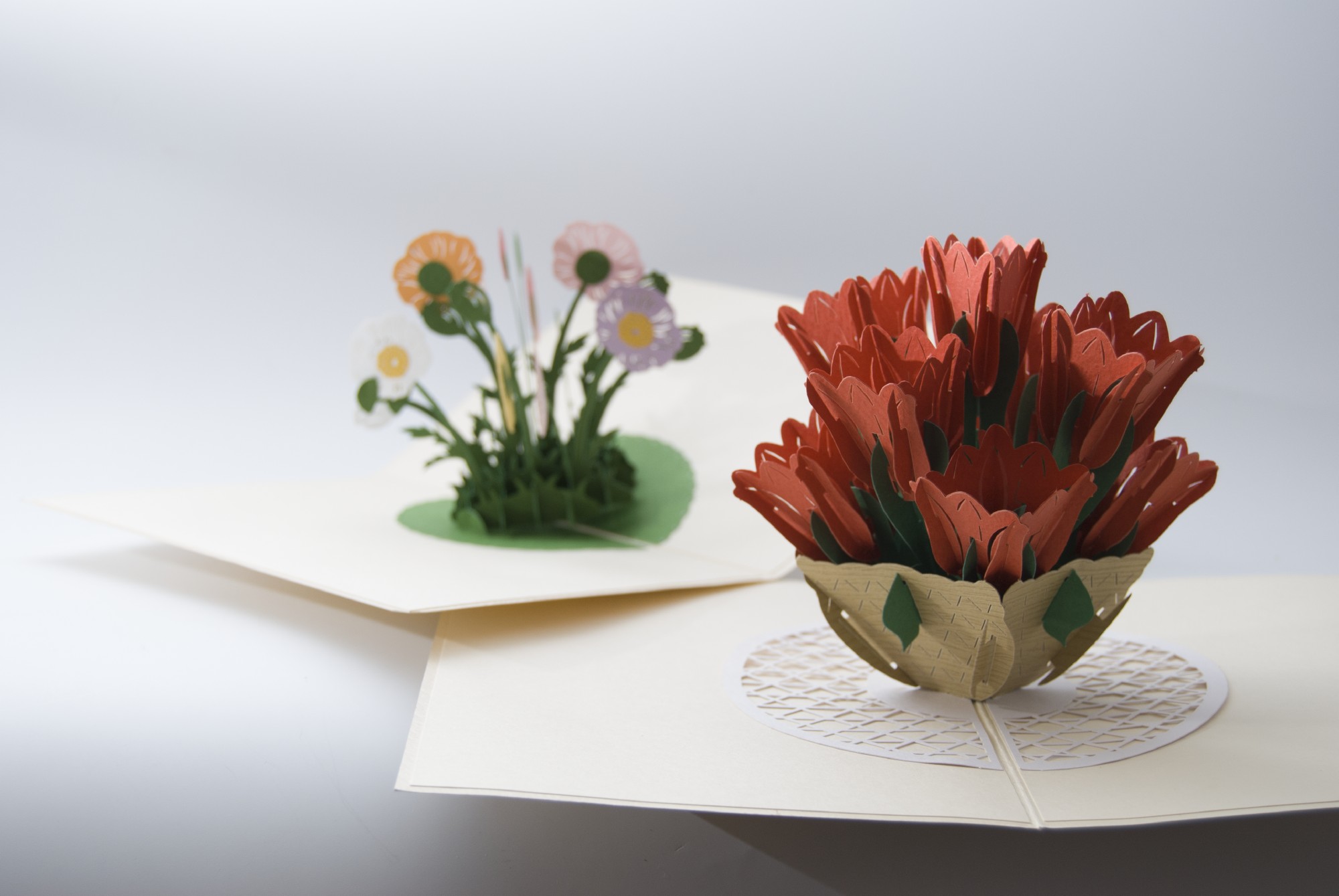 Pop-Up Karte 'Tulpe', rot, L 18 cm, B 13 cm günstig bestellen