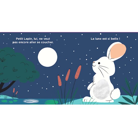 Livre Au dodo, Petit Lapin !   de               Larousse