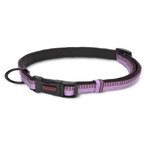 Coleira de neoprene Halti para cães da Company Of Animals