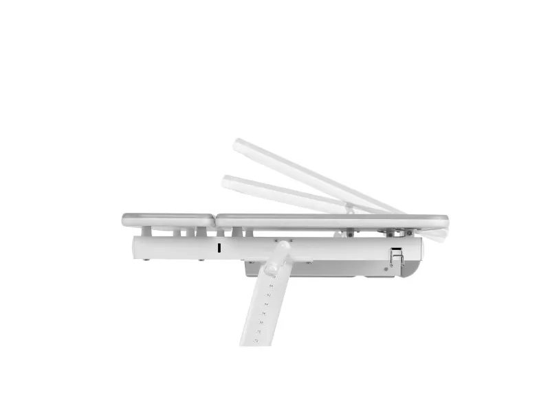 Ergo Office ergonomisk højdejusterbart børneskrivebord, grå, max 100 kg, ER-417 2cz