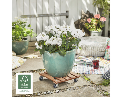 Plantenwagen WPC 29x29 cm max. draagvermogen 80 kg bruin