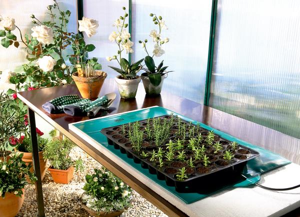 Bio Green Wärmeplatte für Pflanzen