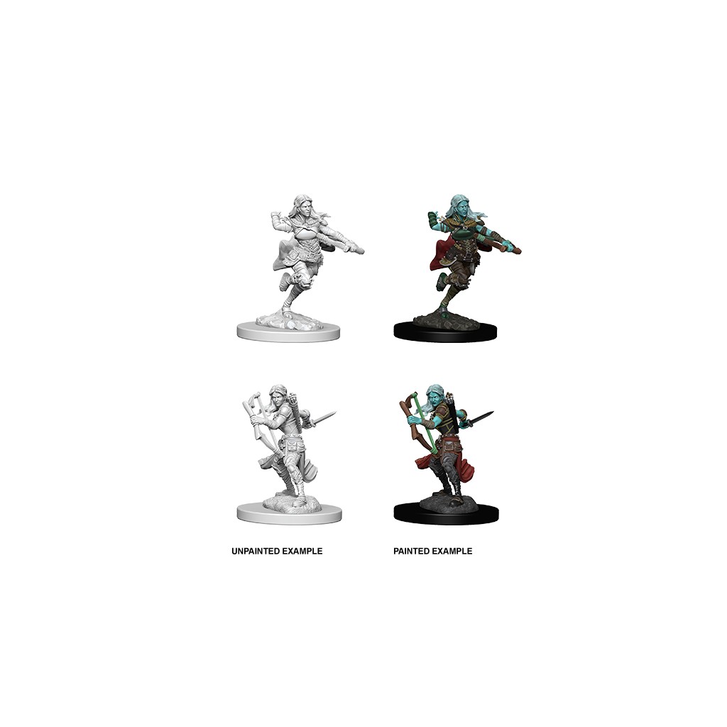 D&D Nolzur's Marvelous Unpainted Miniatures: Air Genasi Female Rogue