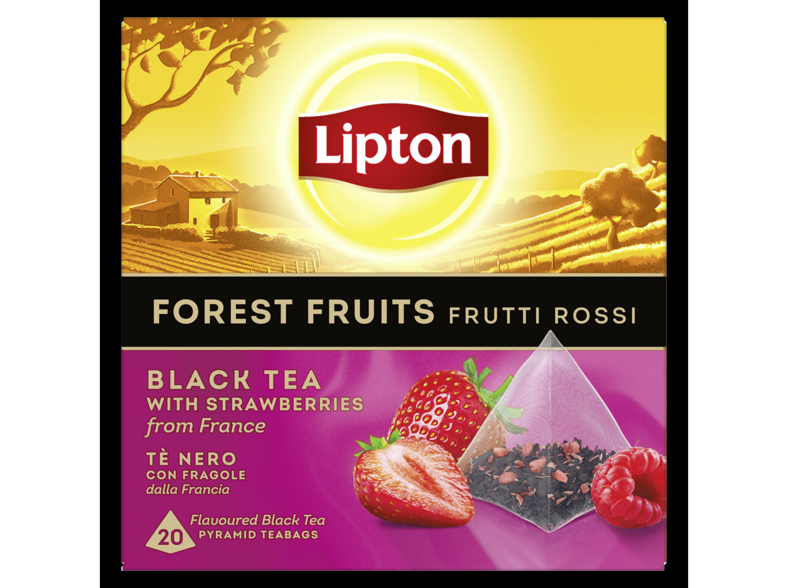CHÁ PRETO LIPTON PYRAMID FRUTOS SILVESTRES 20 UN