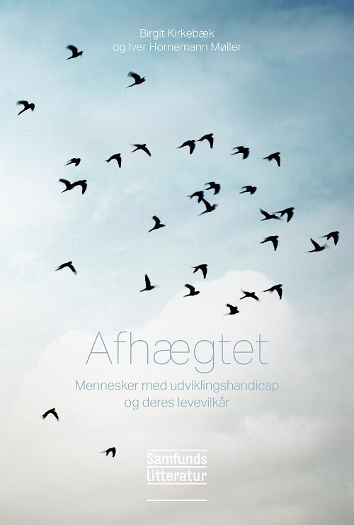Afhægtet - Birgit Kirkebæk - Bog