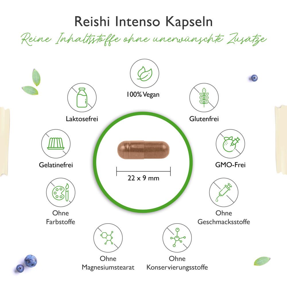 vit4ever Reishi Intenso Pilz