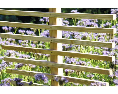 Houten trellis met bladvorm (Fagusblad), 84 x 6,5 x 160 cm, natuurlijke afwerking