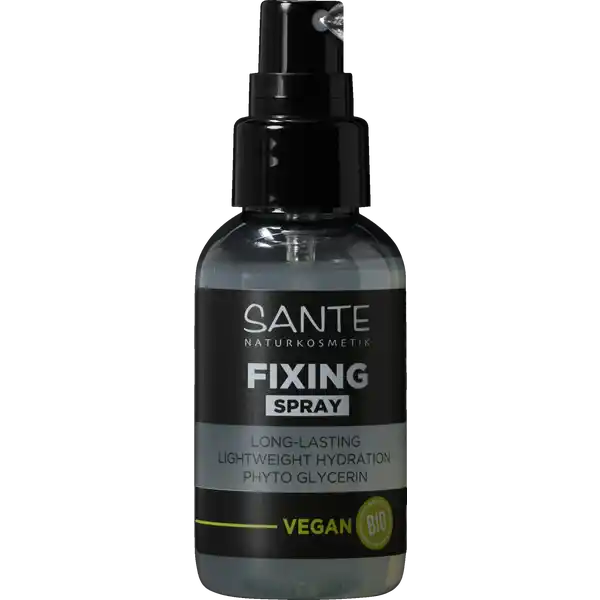 Fixing Spray