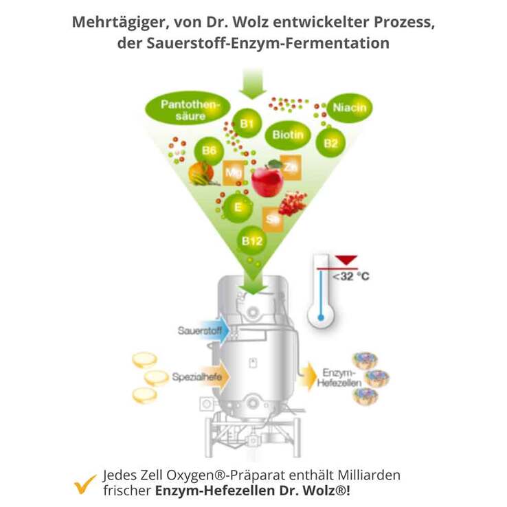 Zell Oxygen Zym Anti Aging 14 Tage Kombipackung, 1 P