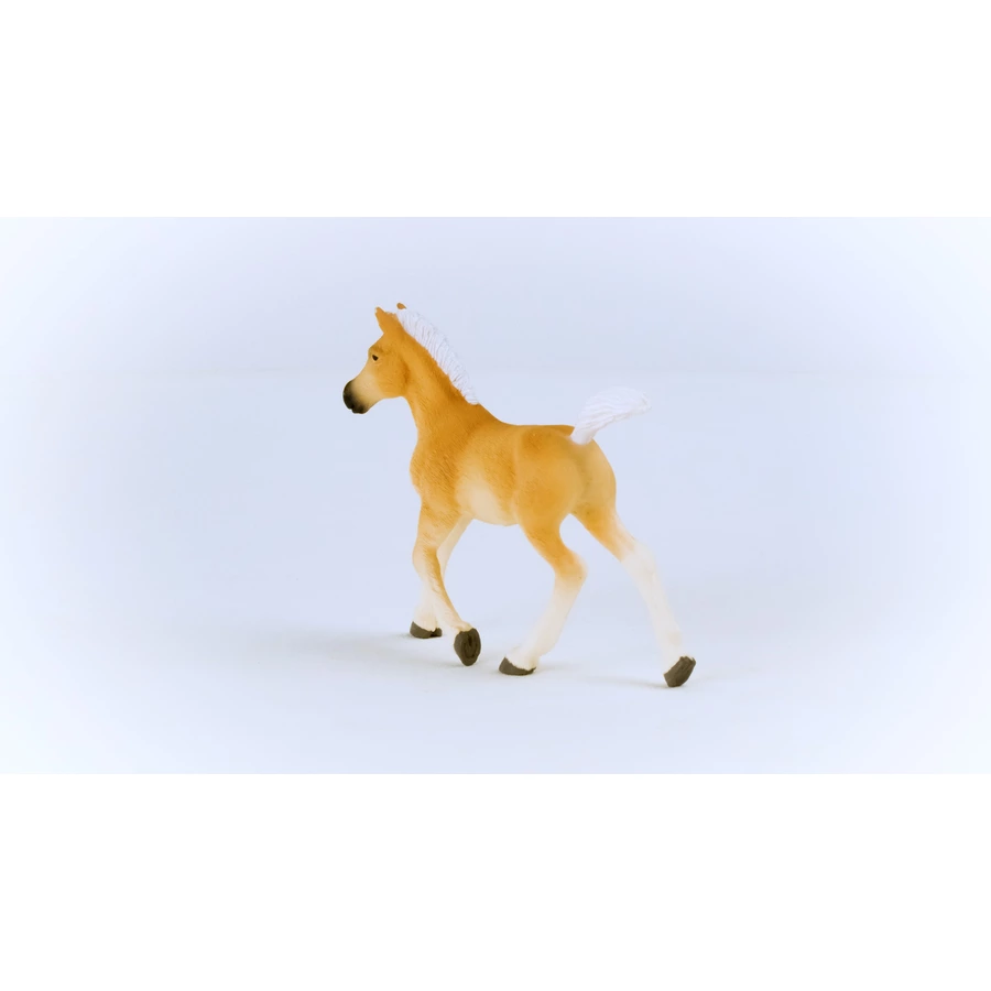 schleich® Haflinger Fohlen 13951