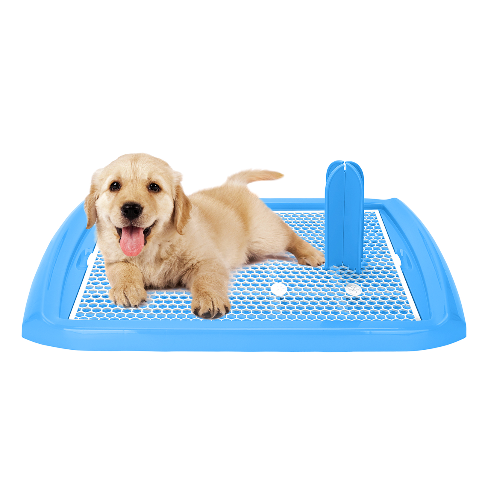 Bandeja Higiênica Nobleza para Cães e Gatos, Suporte para Tapete Higiênico, Vaso Sanitário de Plástico com Poste Removível, Azul, Tamanho G (70,5 x 46,5 cm)