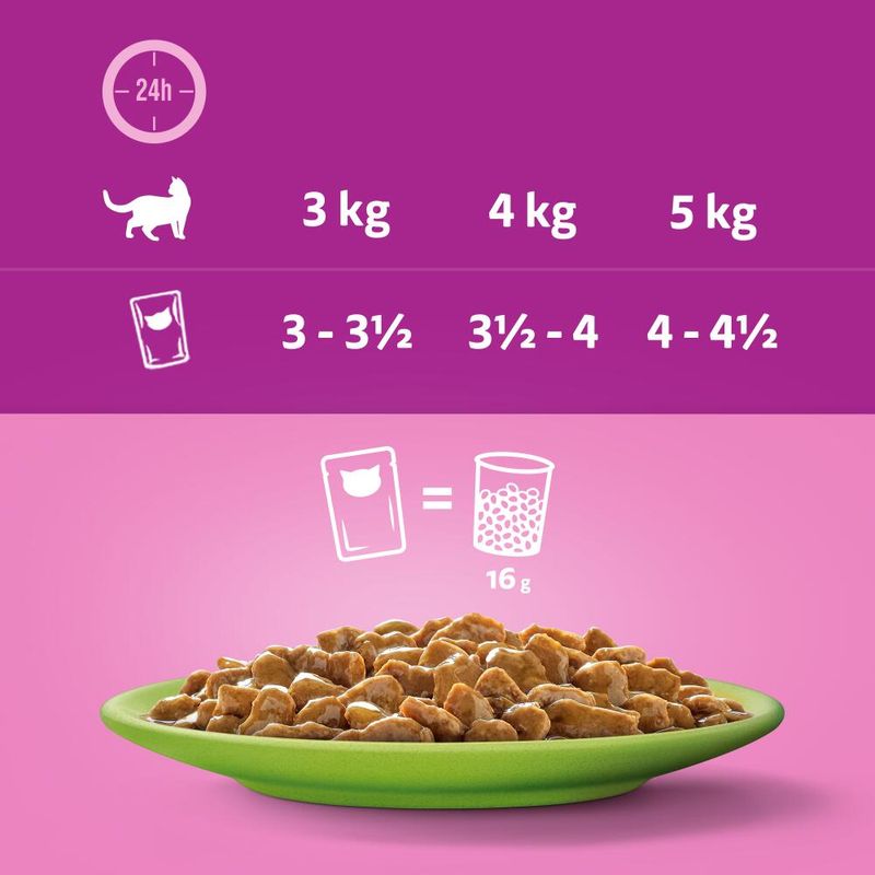 Whiskas Senior 12 x 85 g