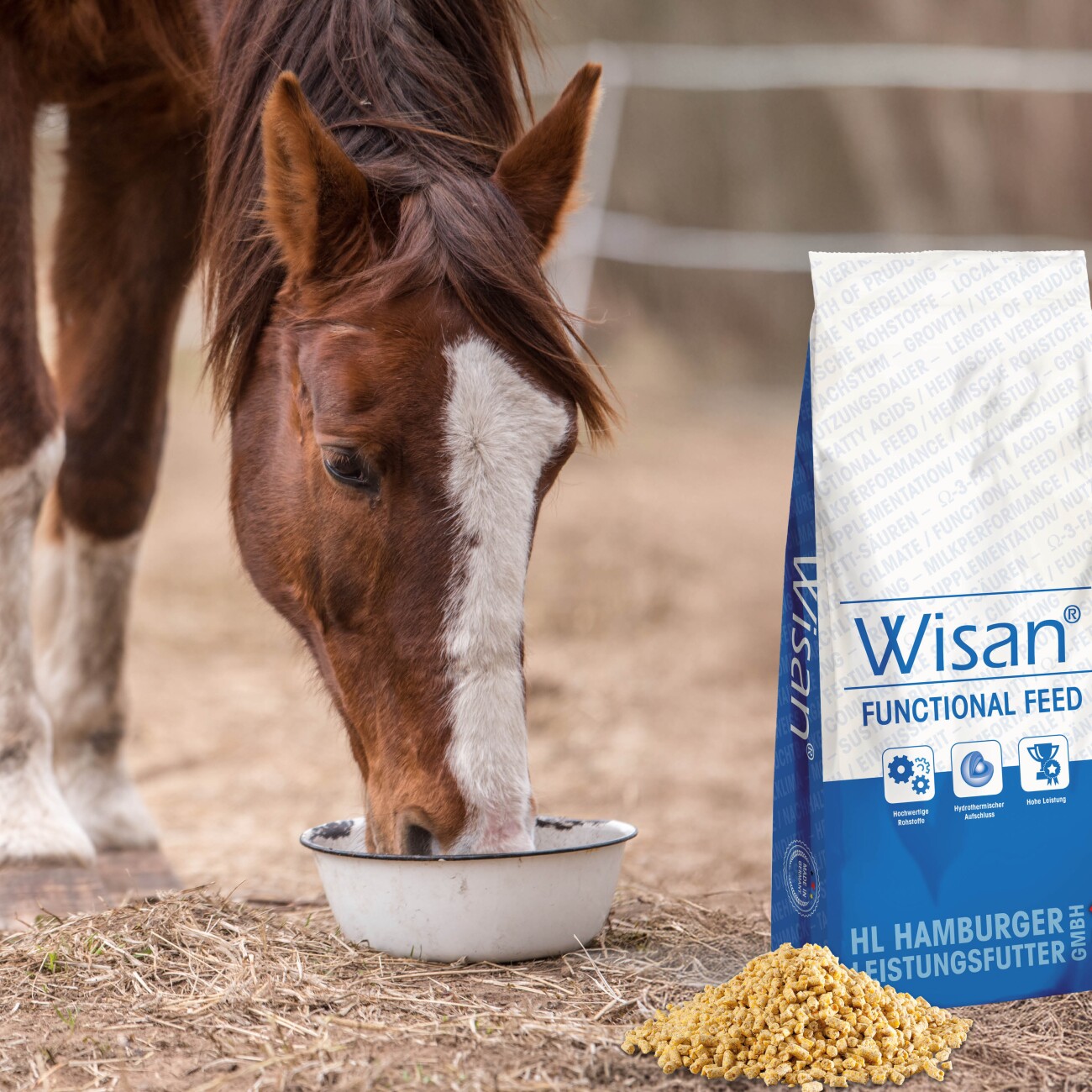 Panto PFERDEPELLETS WISAN-MAIS 25kg