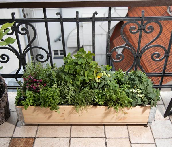 Upyard Holz-Kräuterkasten HerbsBox mit
