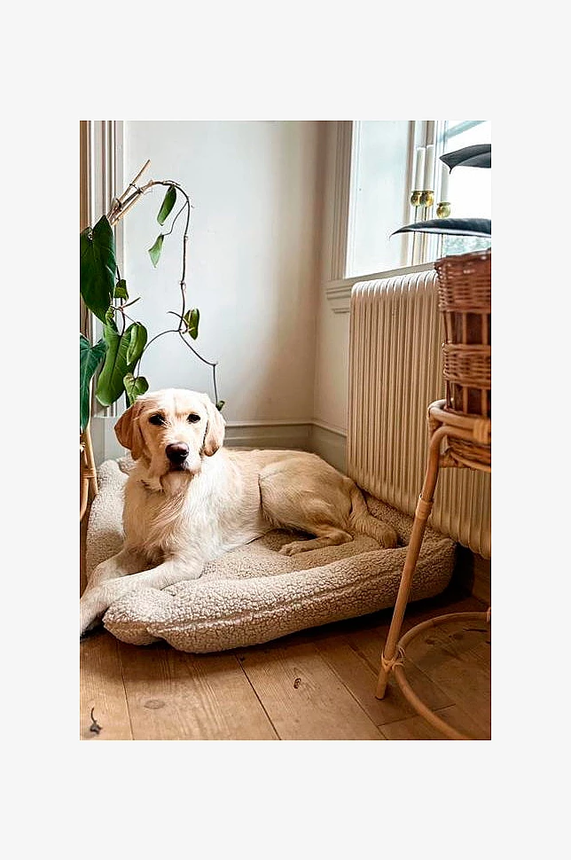 KELSEY hunde-/katteseng