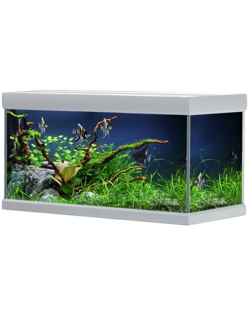 Akvastabil Fusion Aquarium 80 - Aquaria - 80x40x49 cm Zilver Wit Ca. 144 L
