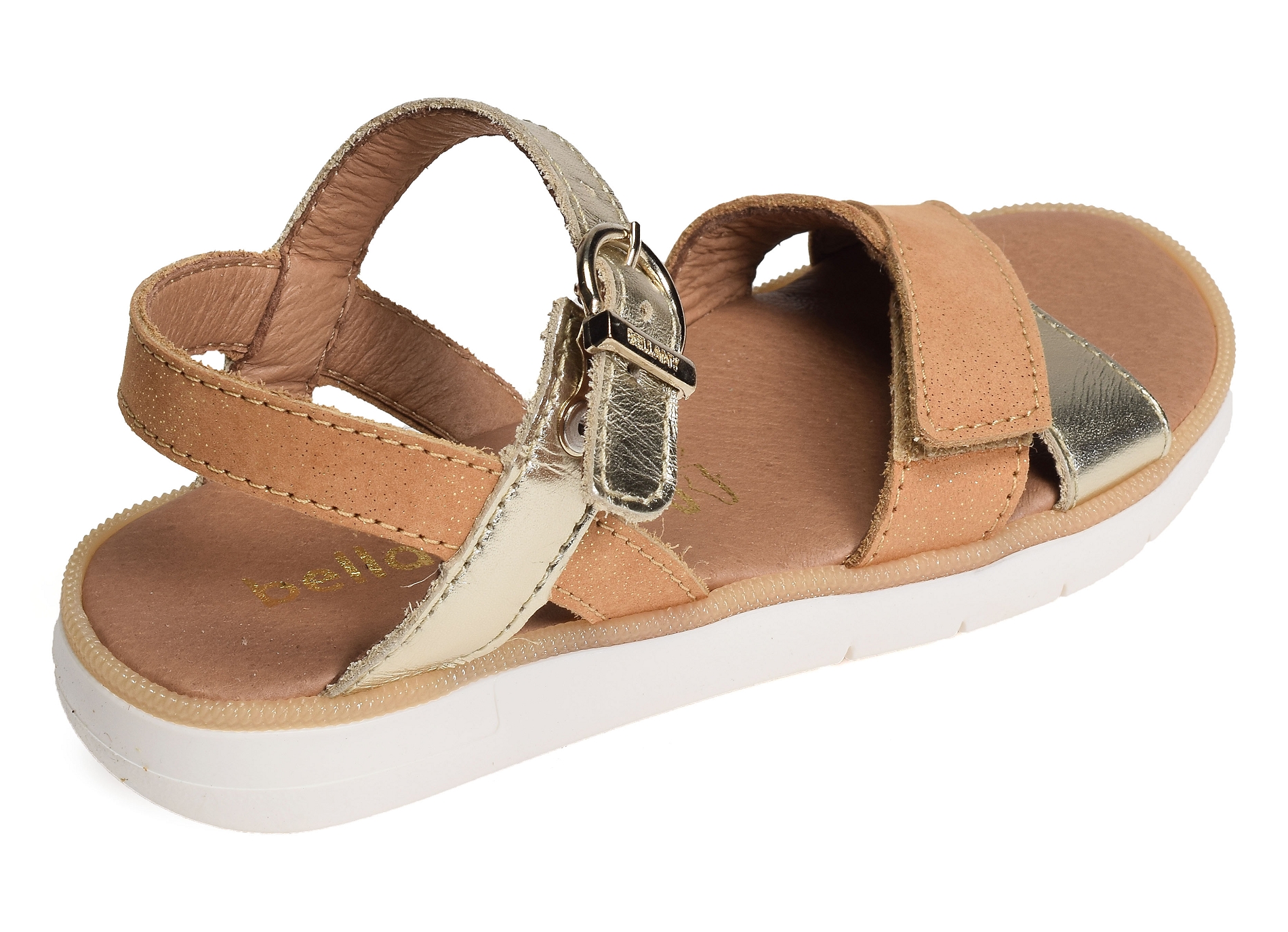 Cuvac camel or