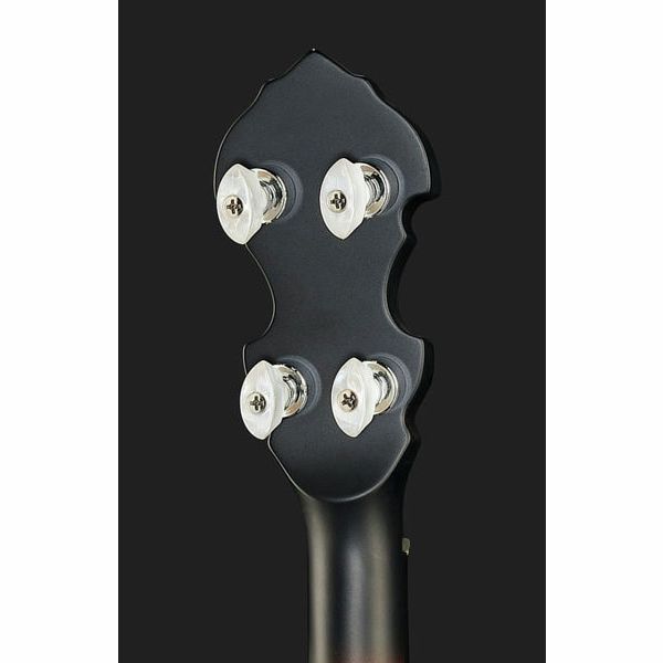 Gold Tone Irish Tenor Banjo 12