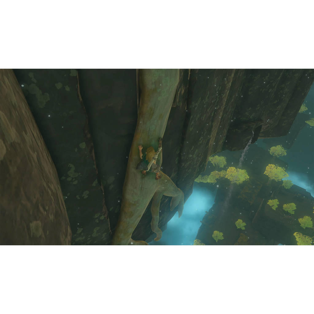 The Legend of Zelda - Tears of the Kingdom (Nintendo Switch)