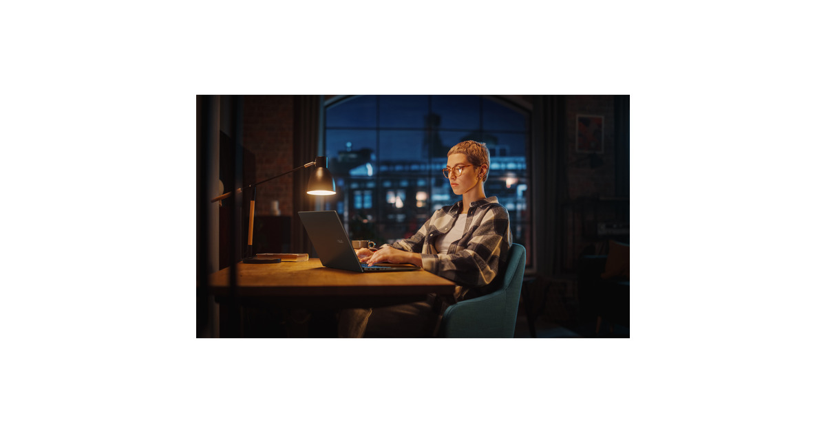 ASUSV16 FX3607VH-RP011WS 16