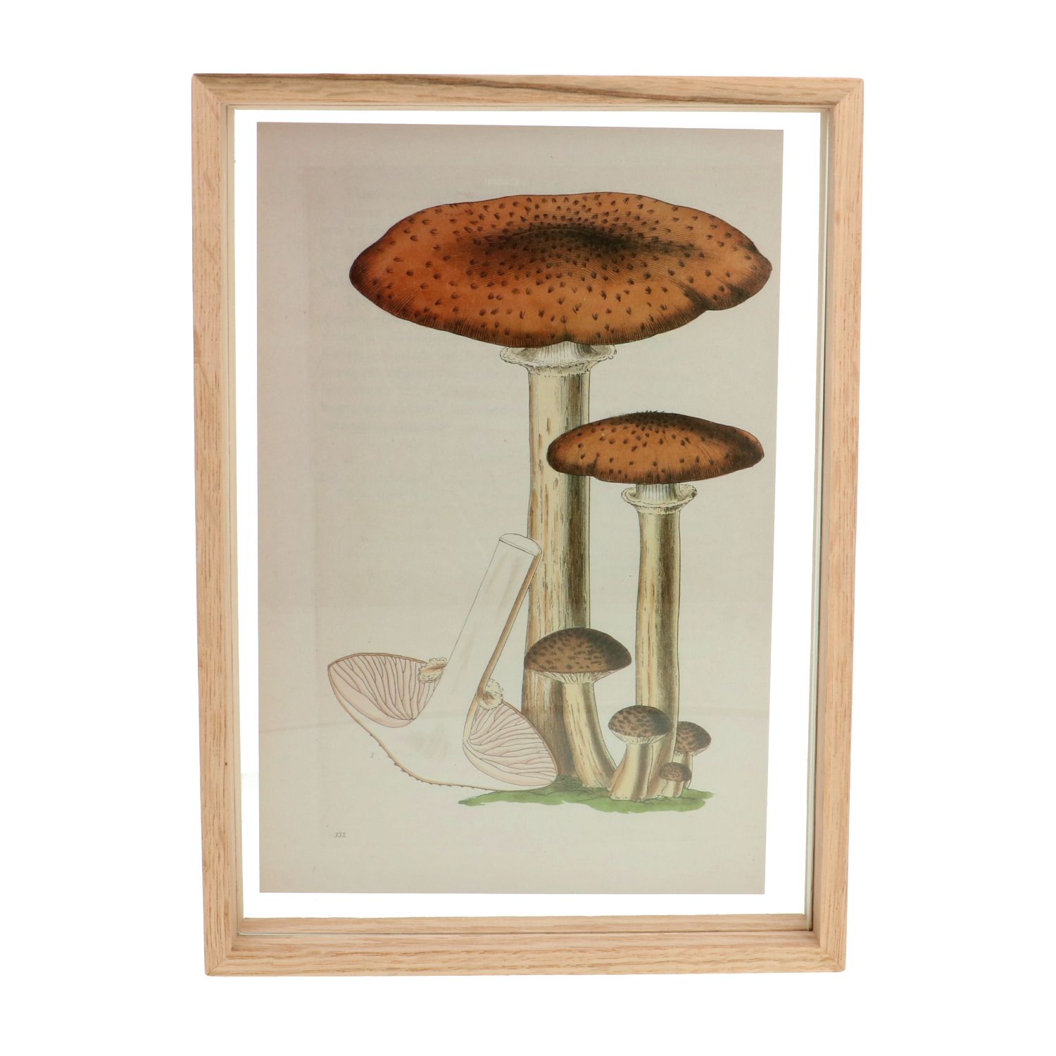 Fotolijst, eikenhout, 21 x 30 cm