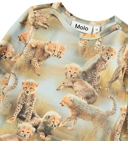 Molo Body L/æ - Foss - Cheetah Jungtiere