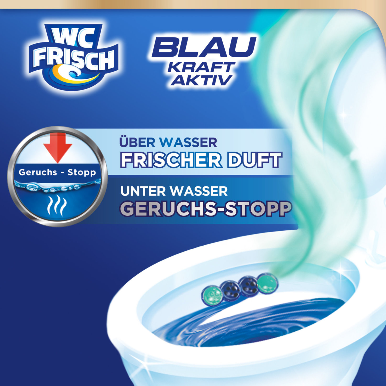 WC Frisch Blau Kraft Aktiv Ozeanfrische 3x50g