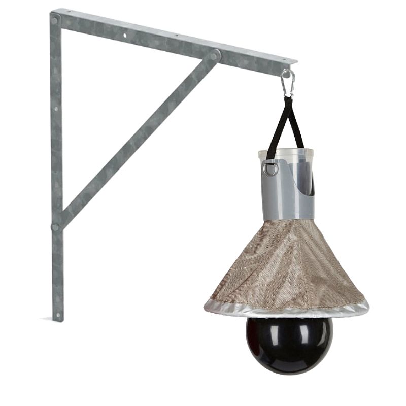 Dazenval Wandbevestiging voor TaonX Mini