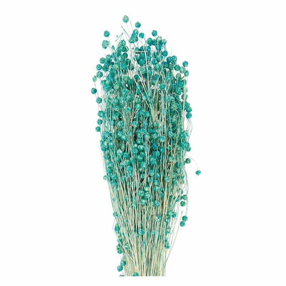 Lins séchés turquoise - 70 cm