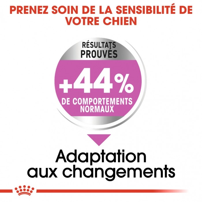 Royal Canin Maxi Relax Care - Croquettes pour chien