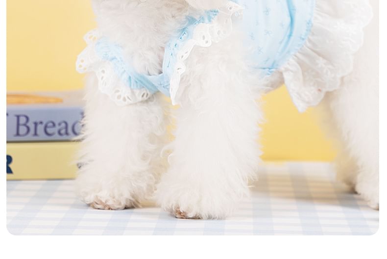 Cissilli - Strik Pet Jurk