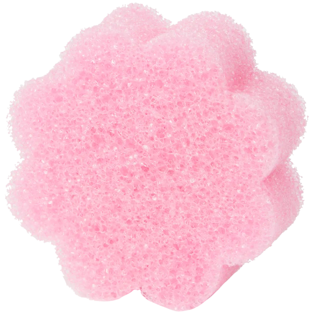 Éponge CleanRite Super Scrubby