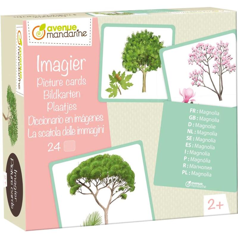 Imagier, Arbres - Multicolore