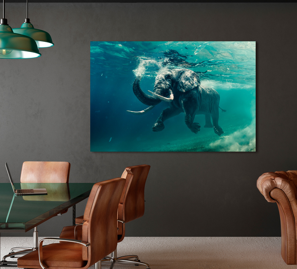 Akustikbild ELEFANT 80x120cm, 7kg