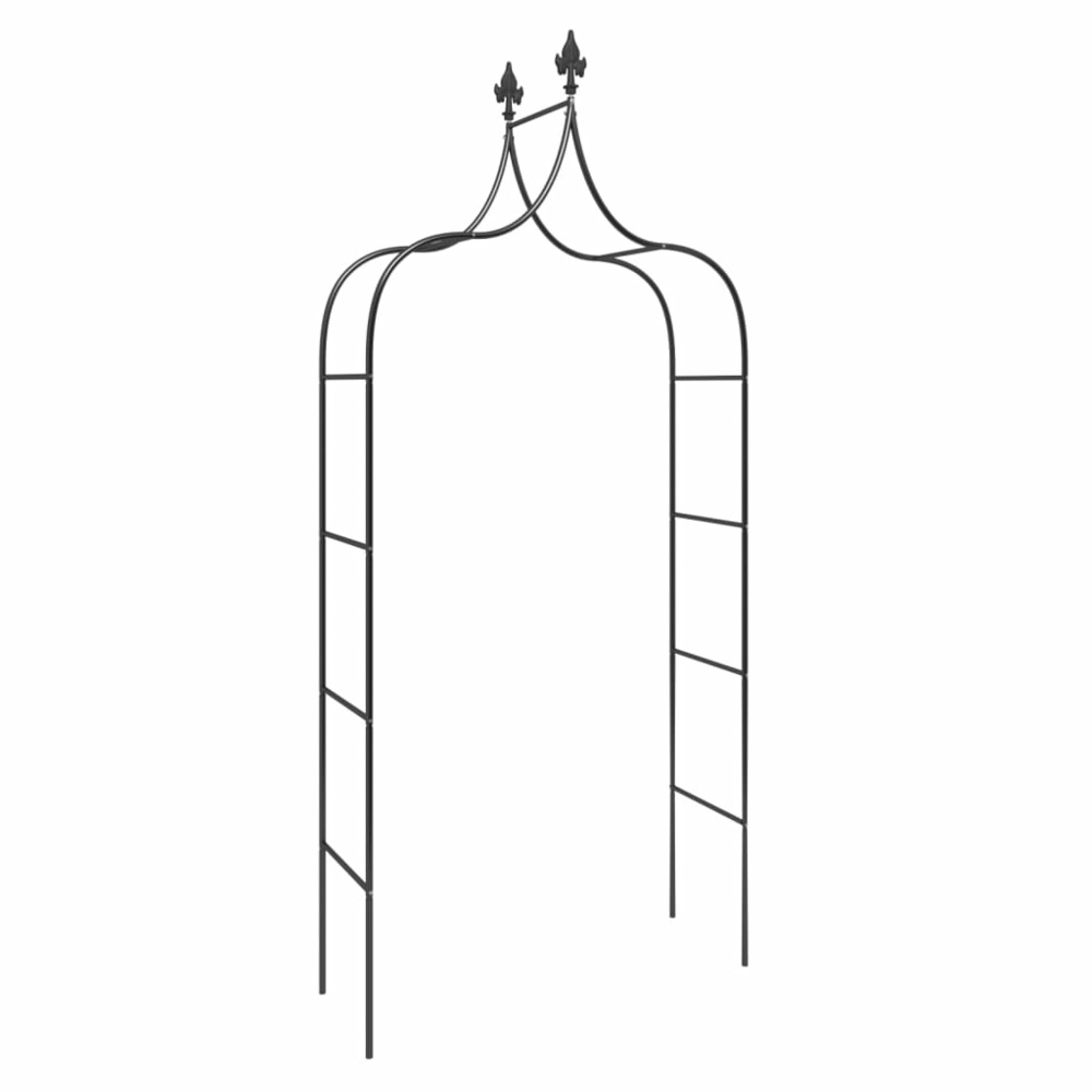 Arches de jardin 2 pcs noir 120x38x260 cm acier